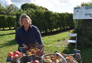 Saint-Soupplets, mardi 5 octobre. Delphine Maurice présente les variétés de pommes à maturité pour la cueillette.