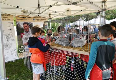 Une dizaine d'ateliers étaient proposés lors des Journées alimentation organisées par la SDA	41 et le conseil départemental.