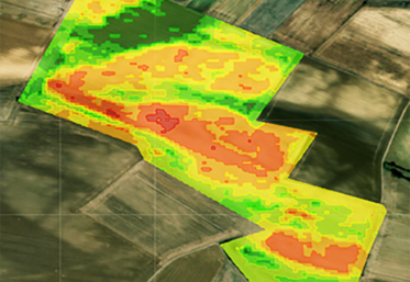C'est à partir de ce type d'images satellites fournies par Farmstar que s'élabore le conseil fourni par Axéréal.