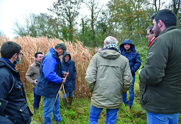 La Brosse-Montceaux, mardi 30 novembre. Visite d'une parcelle implantée en miscanthus à proximité du village. 