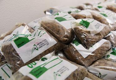 Pour obtenir des sacs à échantillon, rapprochez-vous de votre Groupement de développement agricole (GDA) ou de la chambre d'Agriculture.