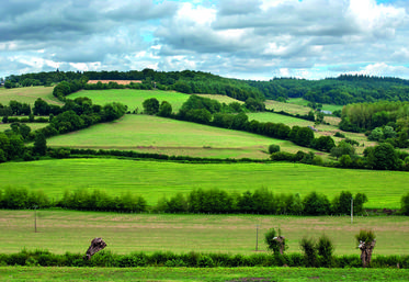 La chambre d'Agriculture de région Île-de-France et Agrof'Île organisent une journée de découverte de la Ferme des Clos à Bonnelles (Yvelines), lauréat du CGA Agroforesterie.