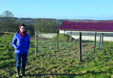 Verdelot, mardi 18 janvier. Une partie des arbres plantés forment des peignes face aux sorties des poulaillers.