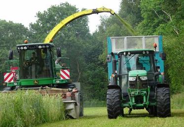 Une fois les méteils associant céréales et protéagineux récoltés en ensilage, la prairie est déjà bien implantée et prête à pousser sur la fin de printemps.