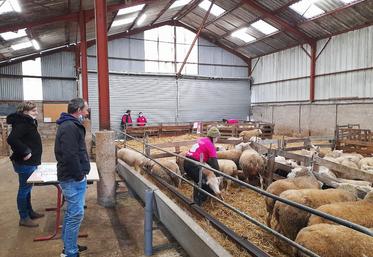 Mercredi 2 février, à l'exploitation agricole de Villavard. Vingt et un élèves ont concouru lors de la finale territoriale des Ovinpiades de Centre-Val de Loire. 