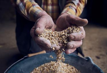 Le collectif Ici la terre lance une campagne de communication avec le hashtag #CesMainsQuiVousNourrissent à l'occasion du Salon de l'agriculture.