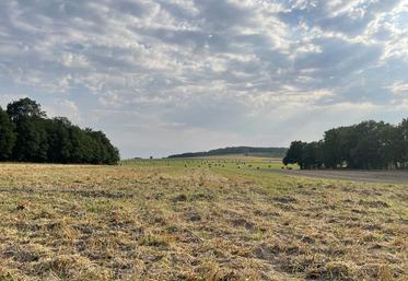 Avant tout, pour avoir le droit de construire, il faut impérativement l’autorisation du propriétaire du sol. 
