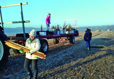 Courant janvier à La Chapelle-en-Vexin (Val-d'Oise), Frédéric Boulard a planté 900 mètres de haies brise-vent.