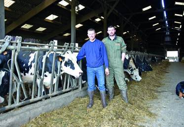 À Couëtron-au-Perche, à l'EARL des Proustières. Alexis et Thibault Dupont aux côtés de leur vache prim'holstein Okali.