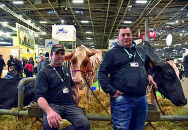 Cédric Villoing, du Gaec Les Bordelets à Saint-Gondon (Loiret), et Sébastien Bonamy, de l'EARL des Fromenteries, à Cléry-Saint-André (Loiret), étaient au Sia pour faire participer trois de leurs vaches au concours de la race prim'holstein	: OléronEHB, IndigoEHB et Naia Red.