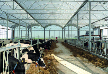 Ce bâtiment modulable, appelé tunnel, multi-dôme, multi-nef ou encore multi-­chapelle, offre une ventilation et une luminosité optimales. Il s'adapte à tout type d'élevage.