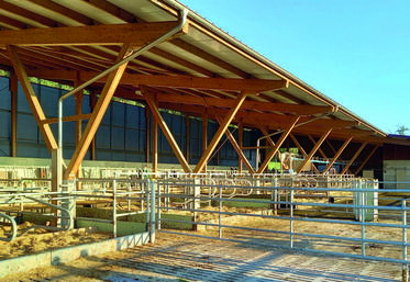 En limitant la hauteur du bâtiment, il est possible de faire baisser significativement la facture charpente et celle de la maçonnerie. 