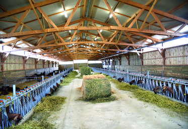 Le bois possède de nombreux atouts. Il est apprécié pour sa simplicité de mise en Suvre, son esthétisme, sa solidité, mais aussi pour ses qualités isolantes (thermiques et phoniques) importantes pour le bien-être animal.