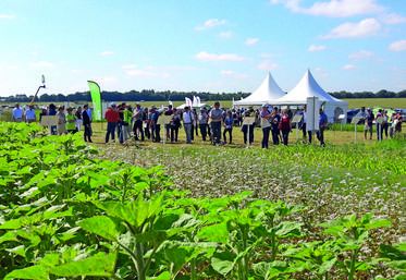 Après la première édition en Essonne en 2018, Tech&bio est de retour en Île-de-France. Rendez-vous le 17 juin à Saint-Germain-Laxis, en Seine-et-Marne.