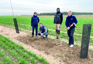 Le 17 mars, à Villeneuve-Saint-Nicolas. Yves Gauthier (2e à g.) a bénéficié de l'aide financière de La Poste, du soutien technique de l'AFA et social de la ­fondation GoodPlanet, pour son projet d'agroforesterie.