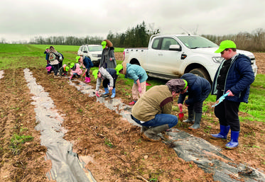 Le 15 mars à Illiers-Combray, plantation de haies organisée par la FDC 28.