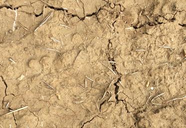 Face au changement climatique, la question de la gestion et de l'accès à l'eau est cruciale.