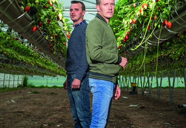 Valentin et Aurélien ont multiplié par trois leur capacité de production de fraises depuis 2019.