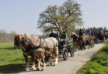 En amont de l'assemblée générale, meneurs et cavaliers de l'Actif ont effectué un parcours de 12 km.