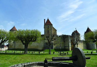 Le château de Blandy-les-Tours depuis la place de l'église.