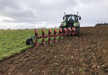 Les charrues déchaumeuses sont particulièrement plébiscitées pour le labour superficiel. Selon les marques, les ­charrues déchaumeuses s’utilisent en raie ou hors raie.