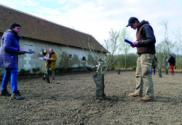 Mélangés à des scions tout venants, les sujets candidats au label rouge du verger de référence planté au domaine de Chaumont ont été évalués récemment par un jury technique.