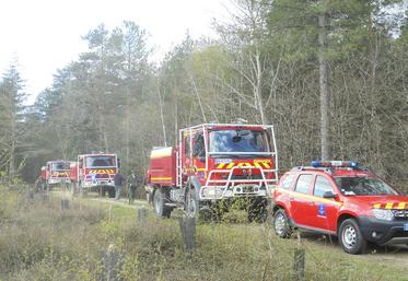Le 9 avril, à Tigy. Des démonstrations des pompiers se sont déroulées dans le cadre d'une journée prévention des feux de forêt.