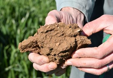 L'observation de la structure d'une motte de terre est une étape primordiale.
