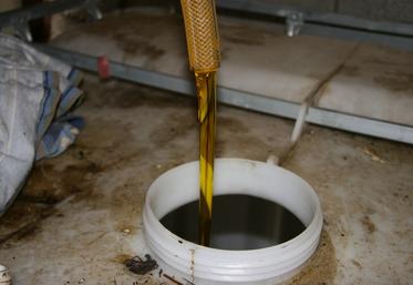 Le pressage à la ferme permet d’obtenir d’un côté de l’huile qui sert de carburant et, de l’autre, des tourteaux gras, riches en protéines. 