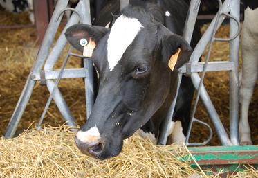 Avoir des stocks pour prévoir l’avenir est nécessaire, surtout dans le contexte de hausse des prix actuel.