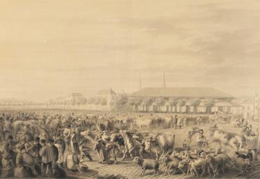 La Foire de Poissy a alimenté Paris durant de nombreux siècles.