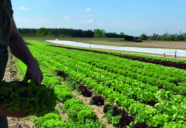 Nicolas Tourne installé depuis deux ans est un nouveau JA du canton Jargeau - Châteauneuf.