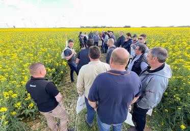 Jeudi 5 mai, à Theuville. AC Négoce Coupé a invité ses clients à se retrouver autour d'un événement consacré au colza.