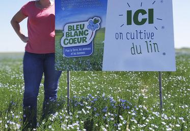 Agricultrice à Saumeray, adhérente au Groupe de développement de Bonneval et à l’association Graine de lin 28, Angélique Le Borgne explique comment l’événement Cultur&Co lui a permis de se lancer dans la diversification.