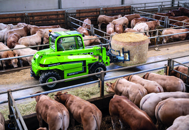 Les modèles deux roues motrices disposent d’un angle de braquage atteignant 85 degrés. Les modèles quatre roues motrices offrent des performances maximales concernant la transmission, pour garantir une excellente adhérence sur toutes les surfaces, même en tout-terrain.