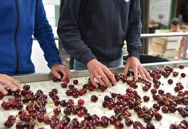 Les mineurs sont autorisés à travailler pendant les vacances scolaires comptant au moins sept jours.
