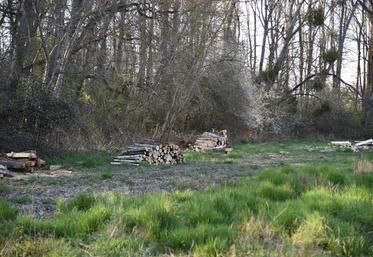 Rendez-vous vendredi 3 juin à Boigneville (Essonne) pour une rencontre sur le terrain pour aborder le bois énergie.