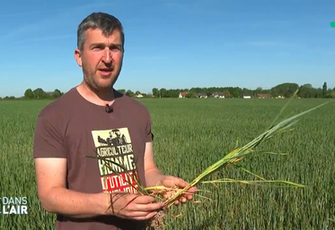 Sébastien Méry, membre du bureau de la FNSEA 45, était l’invité de l’émission C dans l’air sur France 5 pour faire un point sur la sécheresse.