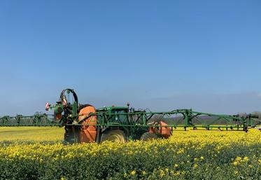 Pulvérisateur dans un champ de colza en fleur sous un ciel bleu.