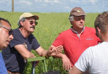 Le 16 mai, à Châtaincourt. Les agronomes de la Chambre et de Terres Inovia, Dominique Delaunay (à g.) et Julien Charbonnaud (à d.), ont expliqué par le menu comment réussir sa culture de colza.