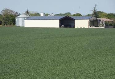 L’exploitant propriétaire d’un terrain peut, par exemple, confier à une entreprise spécialisée la construction d’un hangar neuf, livré clé en main.