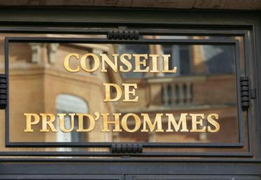 La FDSEA propose à ses adhérents une offre spéciale d'achat de semences de couverts végétaux et de semences fourragères.