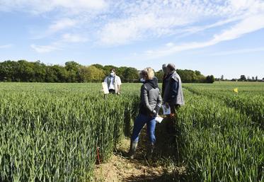 En 2021, la plateforme Adarel avait été organisée à Chuelles sur le thème de la génétique au service de l’agronomie.