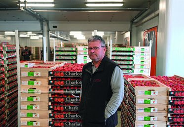 Franck Guilloteau, président du Cadran de Sologne, revient sur la saison de fraises vécue par la coopérative qui regroupe vingt-trois exploitants. 