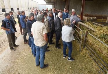 Dimanche 5 juin, à Arrou. Le public n'a pas boudé son plaisir lors de l'opération Plus belle la campagne organisée par Jeunes agriculteurs.