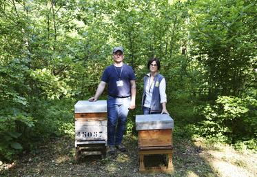 À la tête de l'association, Stéphane et Marie Lebrun sont férus d'apiculture.