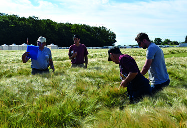 Montacher-Villegardin (Yonne), mercredi 1er juin. Visite des essais en orge.