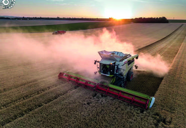 Les barrettes plus serrées et l’angle différent rendent les chenilles du modèle Lexion 8	800 moins sensibles à l’usure.