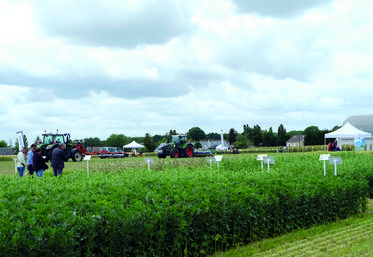 Jeudi 9 juin, à Théléville. Près de 200 agriculteurs se sont retrouvés à l'occasion de l'Agricampus de la Scael, pour découvrir les innovations et développer leurs systèmes de production.