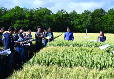 Vendredi 10 juin, à Savigny-sur-Braye. Lors de la visite d'essais blé tendre, Chloé Cuinier, conseillère grandes cultures à la chambre d'Agriculture, donne des explications aux exploitants présents.